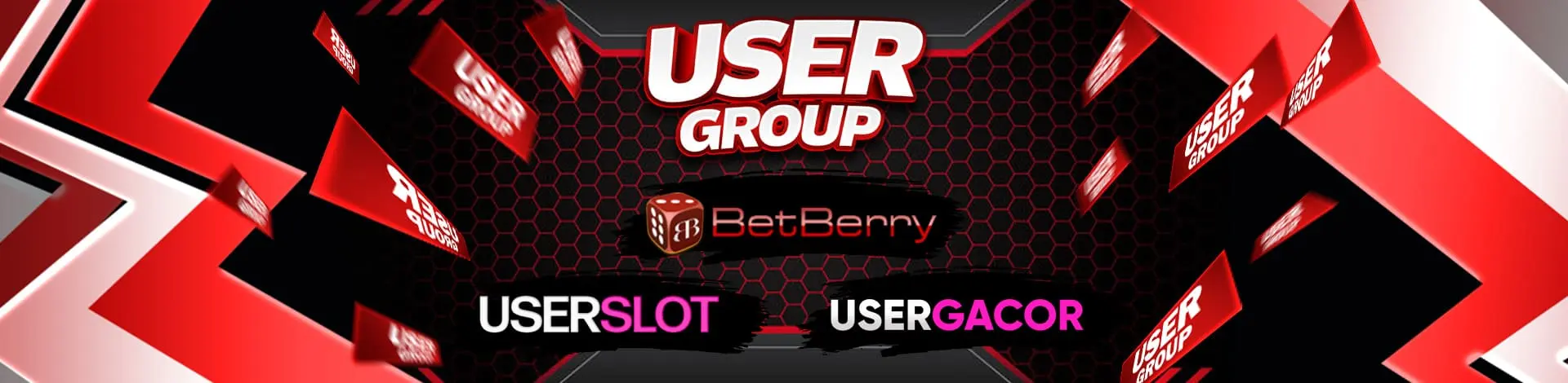 User Group